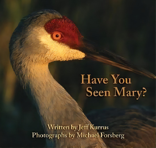 Have You Seen Mary?, De Jeff Kurrus. Editorial Michael Forsberg Photography, Tapa Blanda En Inglés