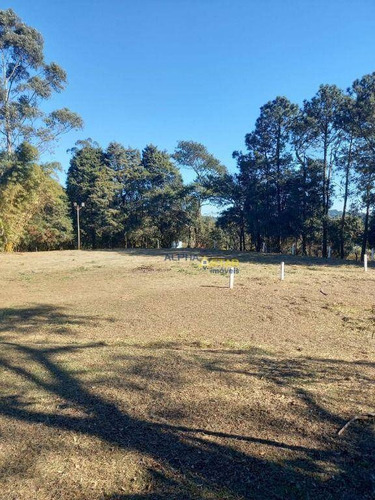 Imagem 7 de 21 de Chácara Com 5 Dormitórios À Venda, 6000 M² Por R$ 1.500.000 - Vila Darcy Penteado (mailasqui) - São Roque/sp - Ch0031