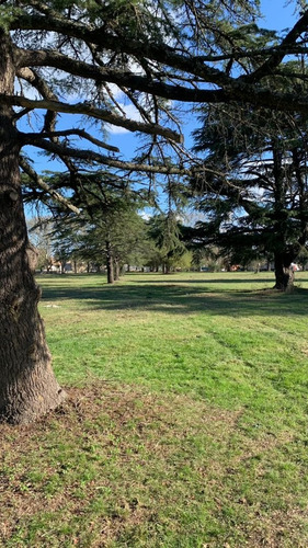 Imagen 8 de 14 de Terreno En Venta En Alejandro Petión