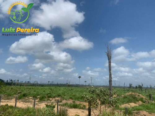Imagem 2 de 15 de Fazenda À Venda Em Pacajá - Pa - 968 Hectares (pecuária) - 1996