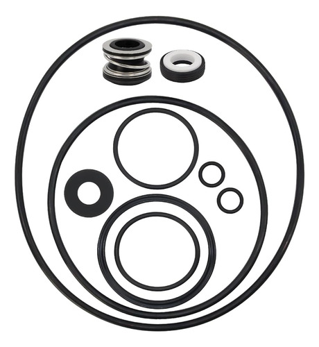 ~? Rurbrin Ps-200 Pump Seal & O-ring Rebuild Repair Kit Para