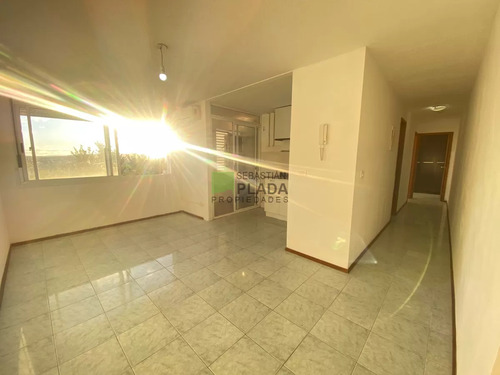 Apartamento De 2 Dormitorios En Alquiler En San Carlos