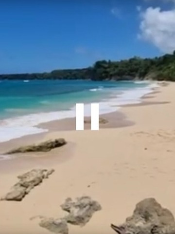 Imagen 5 de 5 de Excurciones / Tours / Costa Norte / Atlantic Side / Rep.dom.