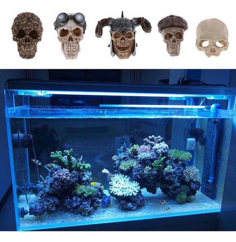 Adorno De Calavera De Acuario 1