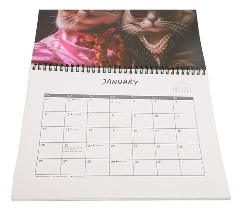 Calendario Con Diseño De Gato, Planificador Mensual De Sobre