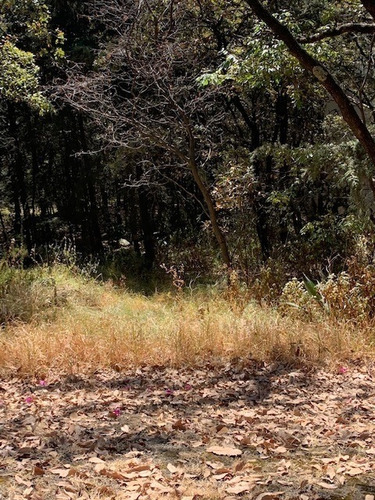 Imagen 5 de 8 de Cumbres De Santa Fe, Terreno Grande