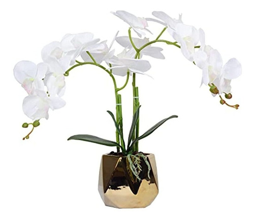 W&w Arreglo De Plantas Y Flores Artificiales De Orquídeas En