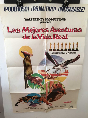 Afiche De Cine - Las Mejores Aventuras De La Vida Real