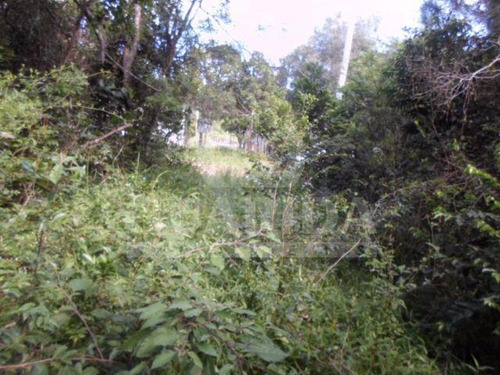 Imagem 5 de 8 de Sitio - Lami - Ref: 149462 - V-149462