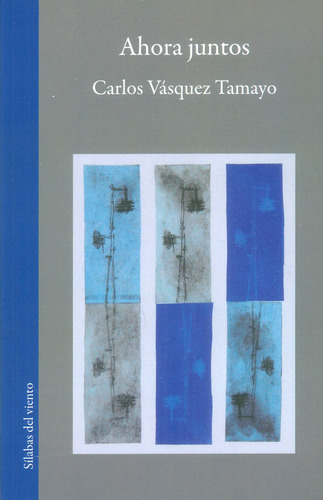 Ahora juntos, de Carlos Vásquez Tamayo. Serie 9585643215, vol. 1. Editorial Silaba Editores, tapa blanda, edición 2018 en español, 2018