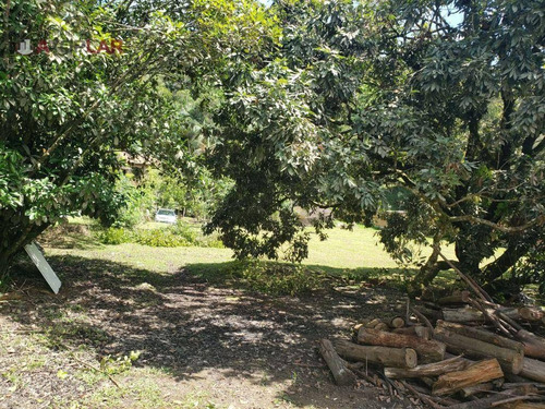 Imagem 3 de 4 de Sítio À Venda, 16573 M² Por R$ 2.450.000,00 - Sertão Trombudo - Itapema/sc - Si0005