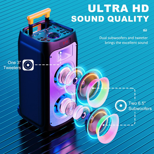 Máquina De Karaoke Hwwr Con 2 Micrófonos Inalámbricos,