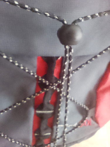 Mochila Senderismo Viaje Camping Urbana 30 L Impecable Gris Oscuro Liso (Usado)