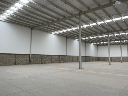 Bodega En Renta En Parque Ind. En Santa Rosa De Jaureg
