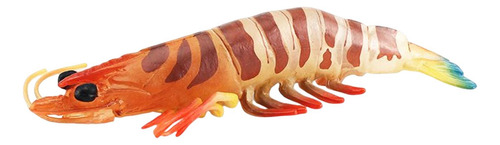 Colección De Modelos De Juguetes Educativos De Ciencia