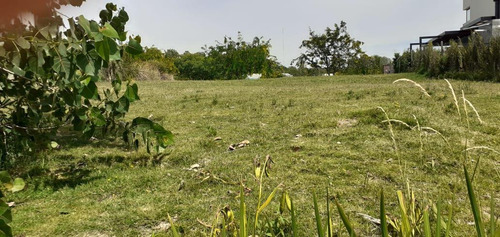 Imagen 6 de 8 de Terreno - El Canton - Norte