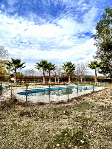 Parcela En Venta En Curimon, San Felipe