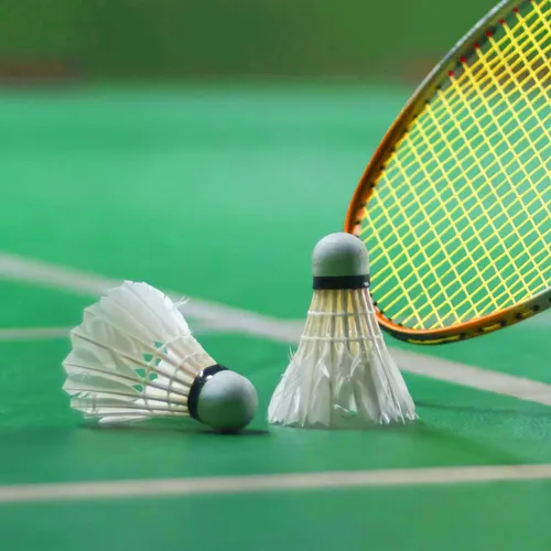 Volantes De Bádminton De Plumas Pelota De Bádminton De Alta