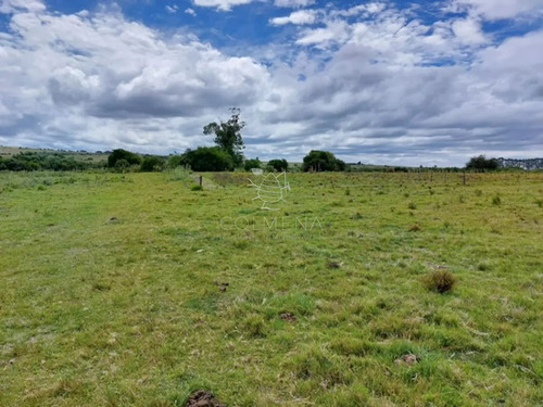 Campo 11 Has Con 683 M2 En Paraje Pueblo Eden