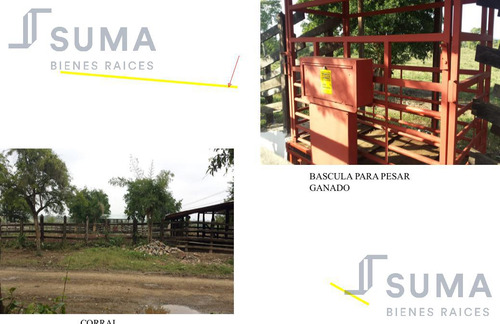 Rancho En Venta Sobre Carretera Tuxpan - Tampico, Ozuluama Veracruz