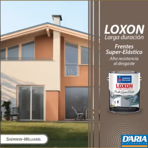 Latex Loxon Larga Duración Frentes Y Medianeras X 20 Lts