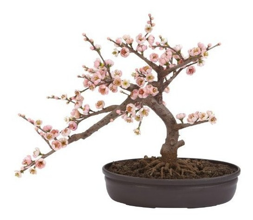 Bonsai Artificial Casi Natural Cherry Blossom B00bgwd6ei