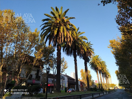 Imagen 16 de 21 de Departamento 2 Ambientes Con Jardin Propio - Tigre - Financiacion