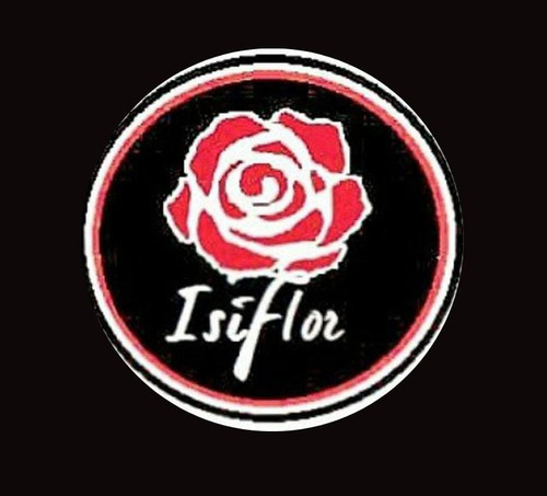 35 Suculentas N8 Eventos Empresarial Regalos Envíos Isiflor