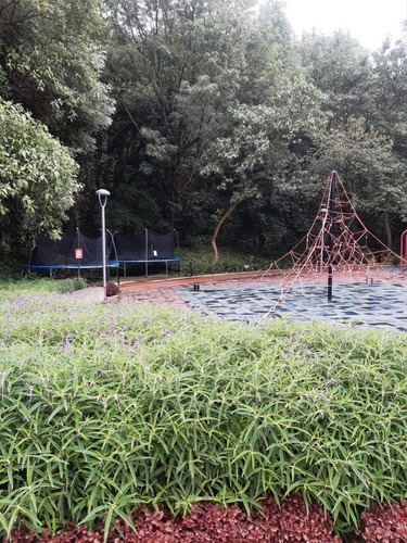Imagen 17 de 21 de Departamento En Venta O Renta En Maranta Bosques, Cdmx