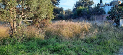 Imagen 6 de 8 de Terreno - La Loma Xicotencatl
