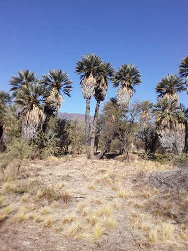 Imagen 5 de 11 de Casa Rural Con Vista A Las Sierras.