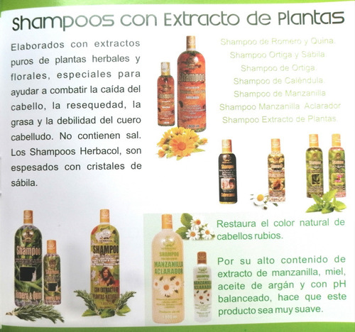 Shampoo Anticaída Extracto De Plantas - L a $22