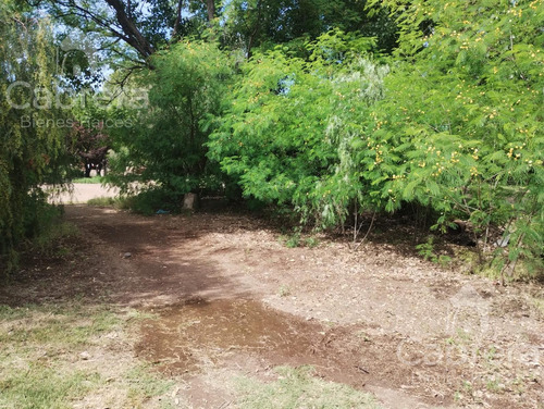 Venta De Campo En San Rafael, Mendoza