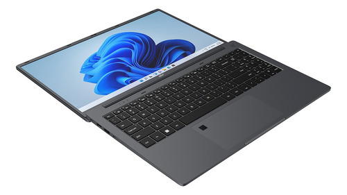Notebook Gfast Intel Celeron N4020 8gb Ssd 120gb Windows 11 Color Negro