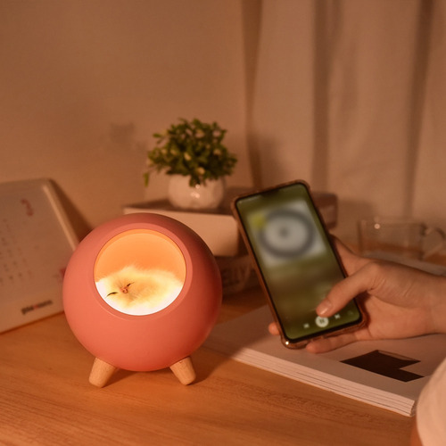 Imagen 6 de 9 de Mini Mascota Casa Luz Noche Portátil Usb Dimming Lámpara De
