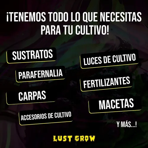 Carpa Cultivo Indoor Bellavita Lite 100x100x200