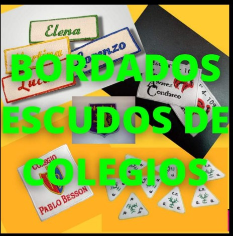 Escudos De Colegio Bordado X6