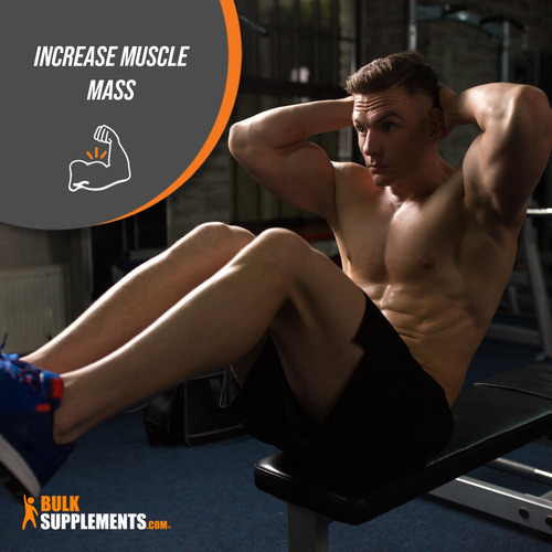 Bulksupplements Pure Grass-fed Whey Protein Isolate Powder (