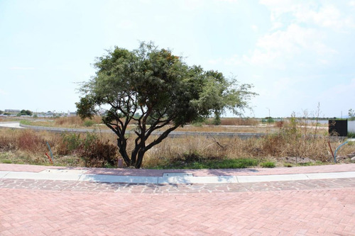 Imagen 2 de 17 de Terreno En Venta En Ciudad Maderas Sur