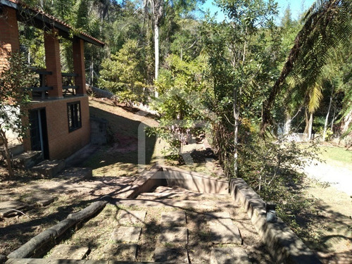 Imagem 8 de 30 de Lindo Sítio Com Lindo Casarão E Piscina - 49 - 68317402