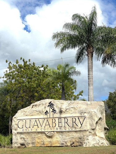 Guavaberry Resort & Contry Club  (849) 203-7597