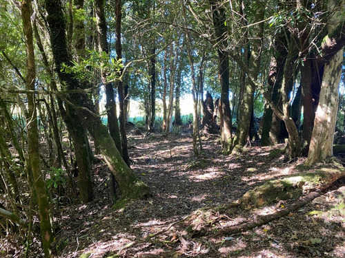 Terreno Ancud, El Palomar