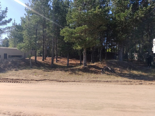 Imagen 7 de 11 de Lindo Terreno En Venta - Barrio Ecuestre De Costa Esmeralda