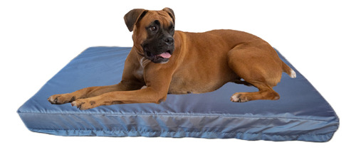 Cama Colchoneta Para Perros Lola Pets Antidesgarro 85x65 Cm