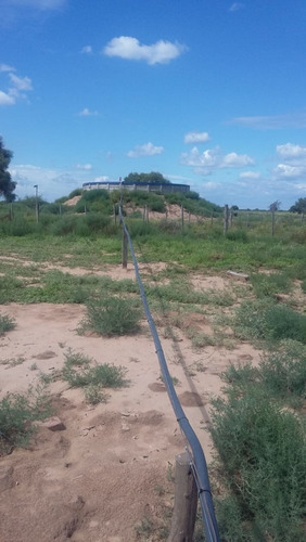 Imagen 6 de 30 de Se Vende Campo En Cordoba Listo Para Trabajarlo