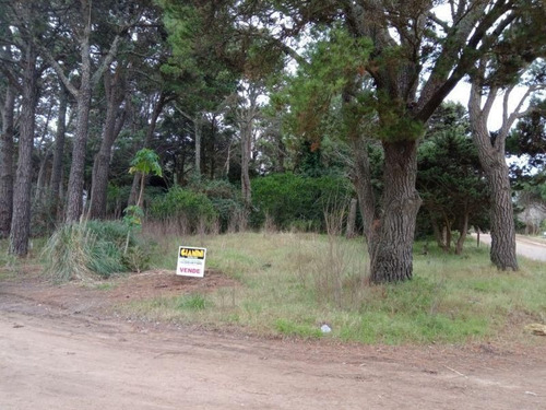 Imagen 3 de 4 de Lote | Av. Divisadero