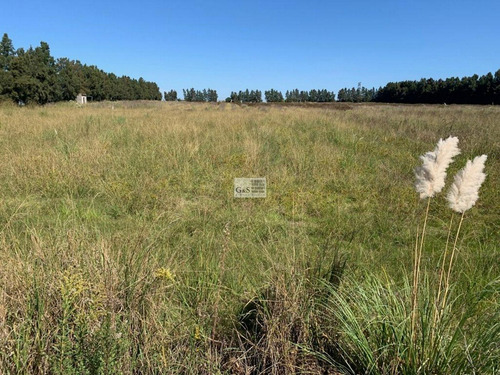 Imagen 2 de 11 de Venta De Chacra 5 Ha En Montevideo Rural