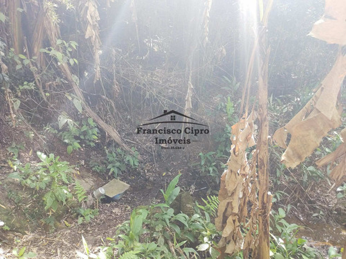 Imagem 14 de 28 de Terreno À Venda No Bairro Pilões - Guaratinguetá/sp - Tr009