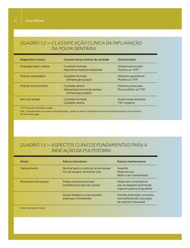 Endodontia Laboratorial e Clínica, de Estrela, Carlos. Abeno Editorial Editora Artes MÉDicas Ltda., capa mole em português, 2013
