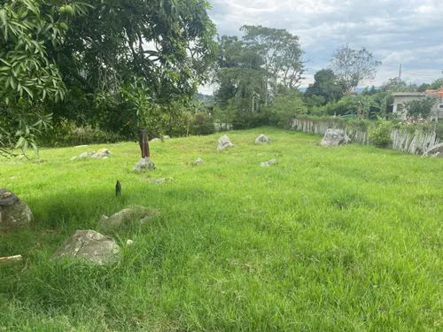 Lote En Venta En El Rosario. Cod V16286